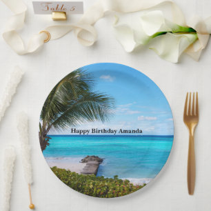 Beautiful Tropical Beach Breezy Palm Tree Birthday Paper Plates