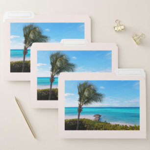 Beautiful Tropical Beach Breezy Palm Tree File Folder