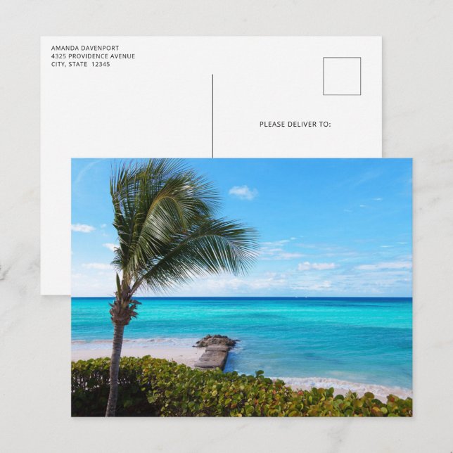 Beautiful Tropical Beach Breezy Palm Tree Postcard (Front/Back)