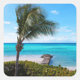 Beautiful Tropical Beach Breezy Palm Tree Square Sticker