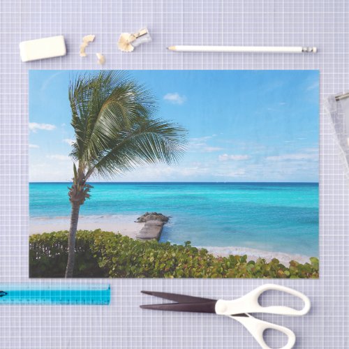 Beautiful Tropical Beach Breezy Palm Tree Tissue Paper