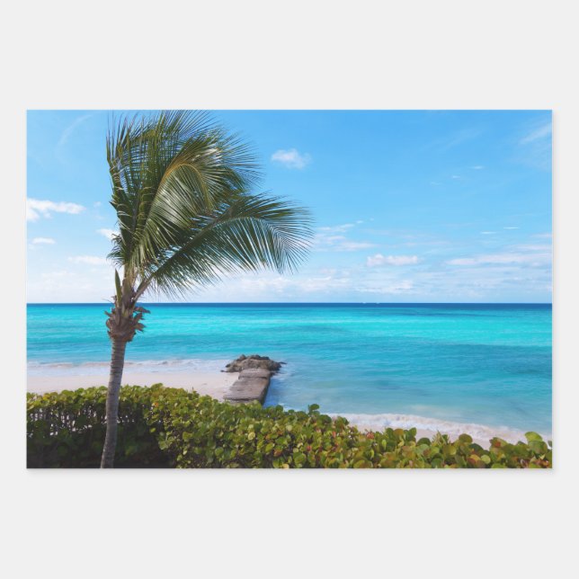 Beautiful Tropical Beach Breezy Palm Tree Wrapping Paper Sheets (Front)