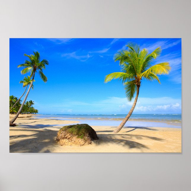 Beautiful tropical beach with palm trees poster (Front)