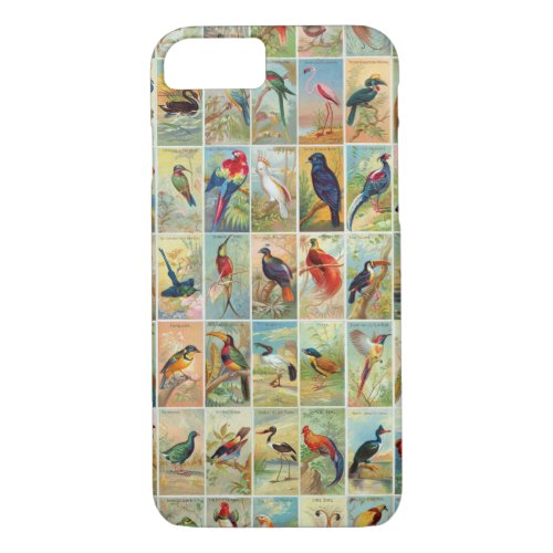 Beautiful Tropical Birds 19th_century Illustration iPhone 87 Case