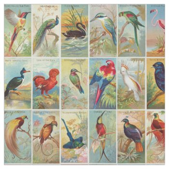 Beautiful Tropical Birds 19th-century Illustration Fabric by judgeart at Zazzle