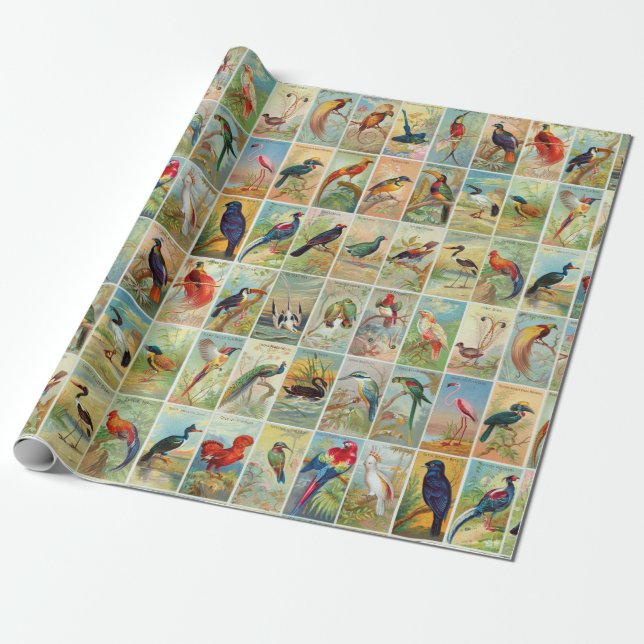 Beautiful Tropical Birds 19th-century Illustration Wrapping Paper (Unrolled)