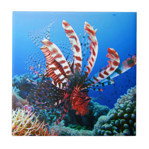 Beautiful Tropical Lionfish Ceramic Tile