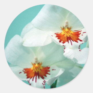 Beautiful Tropical Orchids Stickers