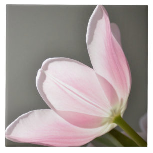 Beautiful Tulip Ceramic Tile