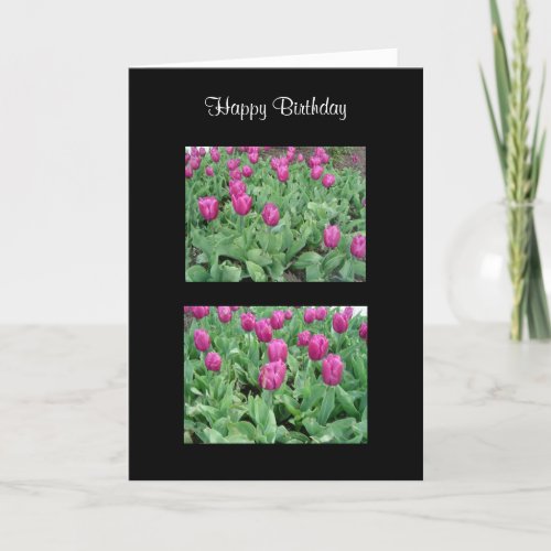 Beautiful Tulip Garden Card