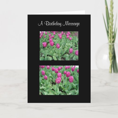 Beautiful Tulip Garden Card