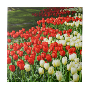 Beautiful tulips ceramic tile