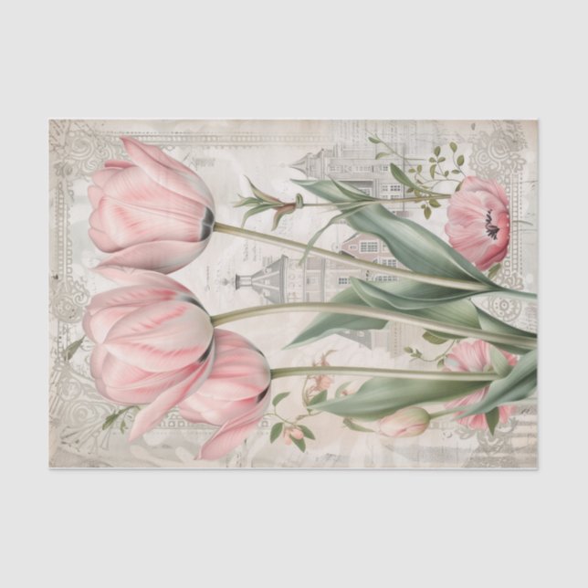 Beautiful Tulips from Amsterdam Tissue Paper (Front)