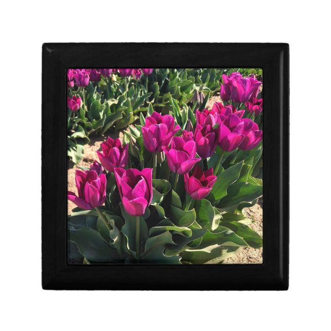 Beautiful Tulips Gift Box (Front)