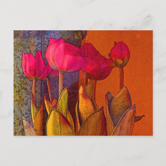 Beautiful Tulips Postcard (Front)