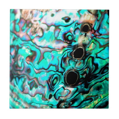 Beautiful turquoise abalone paua shell tile