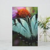 Beautiful Turquoise Swallowtail Butterfly (Standing Front)