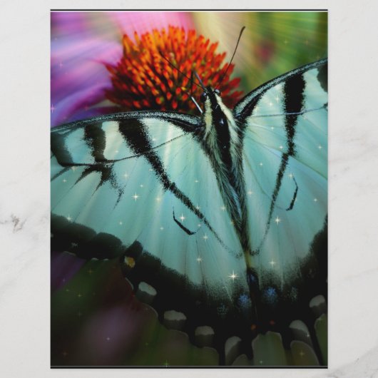 Beautiful Turquoise Swallowtail Butterfly (Front)