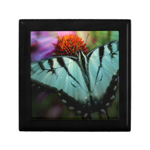 Beautiful Turquoise Swallowtail Butterfly Jewelry Box