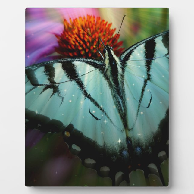 Beautiful Turquoise Swallowtail Butterfly Plaque (Front)