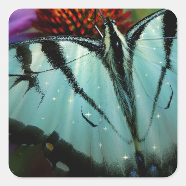 Beautiful Turquoise Swallowtail Butterfly Square Sticker (Front)