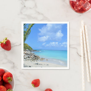 Beautiful Turquoise Tropical Beach Napkins
