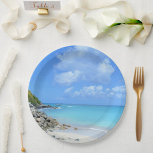 Beautiful Turquoise Tropical Beach Paper Plates