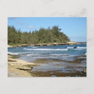 Beautiful Turtle Bay Ocean Beach Oahu Hawaii Postcard