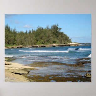 Beautiful Turtle Bay Ocean Beach Oahu Hawaii Poster