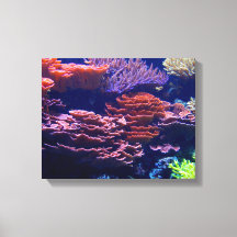 beautiful underwater ocean scene, life beneath sea