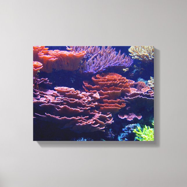beautiful underwater ocean scene, life beneath sea canvas print (Front)