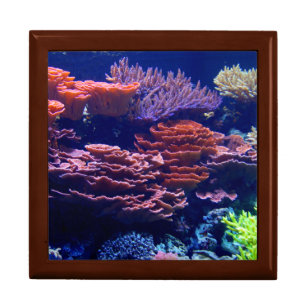 Beautiful underwater ocean scene, pretty colors gift box