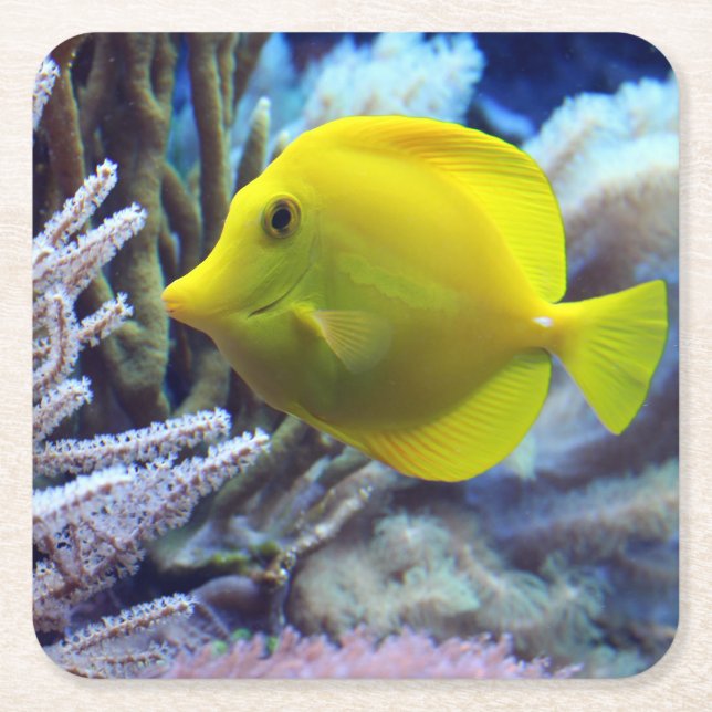 Beautiful Underwater Yellow Tang Fish and Coral Square Paper Coaster (Front)