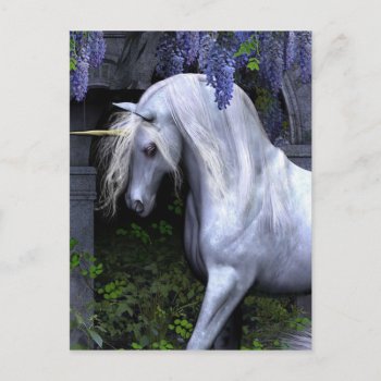 Beautiful Unicorn Postcard by thecoveredbridge at Zazzle