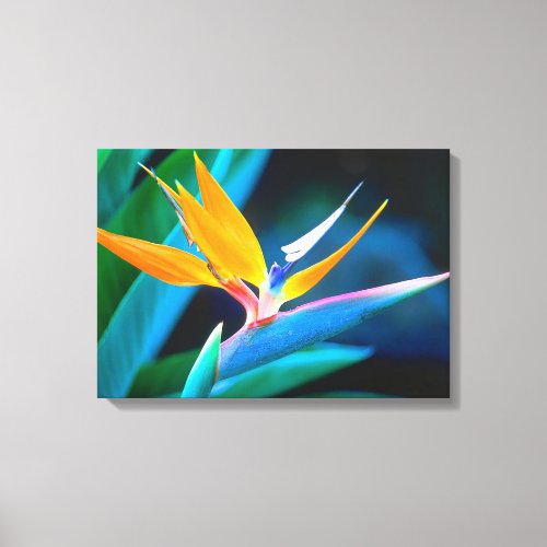 Beautiful Unique Bird of Paradise Canvas