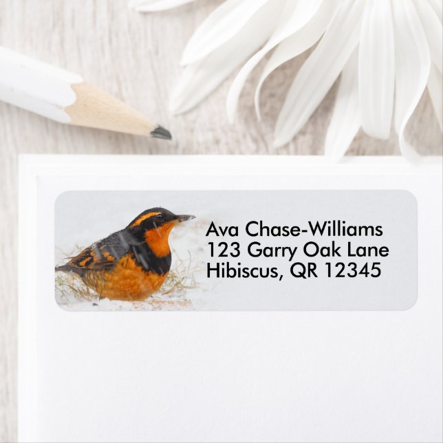 Beautiful Varied Thrush on a Snowy Winter's Day Label (Insitu)