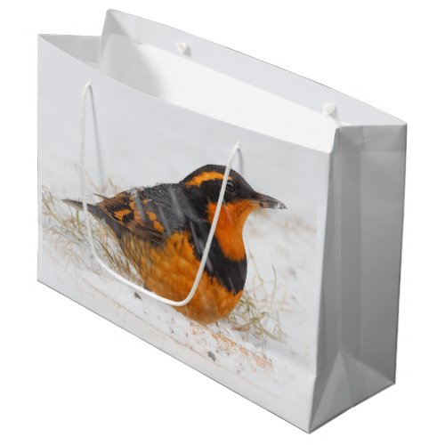 Beautiful Varied Thrush on a Snowy Winters Day Large Gift Bag
