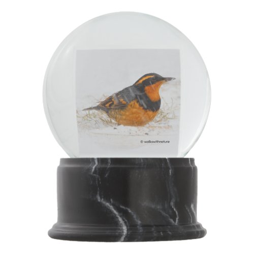 Beautiful Varied Thrush on a Snowy Winters Day Snow Globe