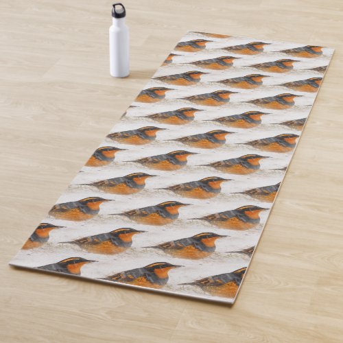 Beautiful Varied Thrush on a Snowy Winters Day Yoga Mat