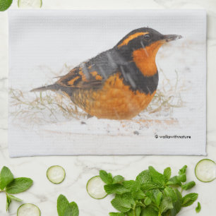 Beautiful Varied Thrush Songbird in the Snow Kitchen Towel
