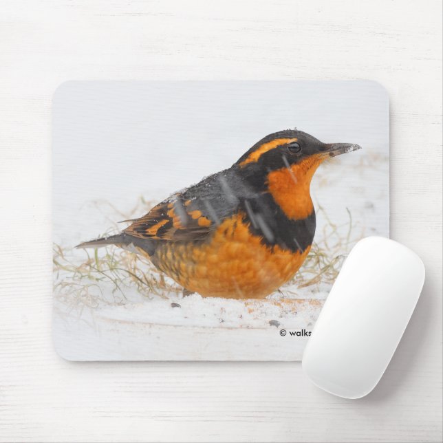 Beautiful Varied Thrush Songbird in the Snow Mouse Pad (With Mouse)