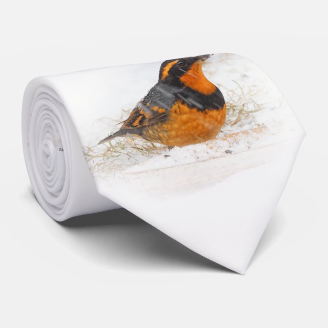 Beautiful Varied Thrush Songbird in the Snow Neck Tie (Rolled)