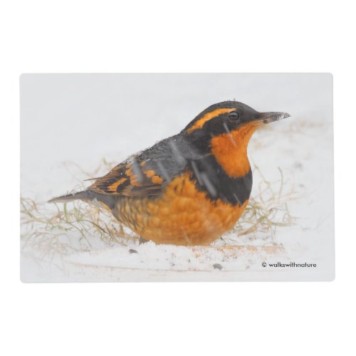 Beautiful Varied Thrush Songbird in the Snow Placemat