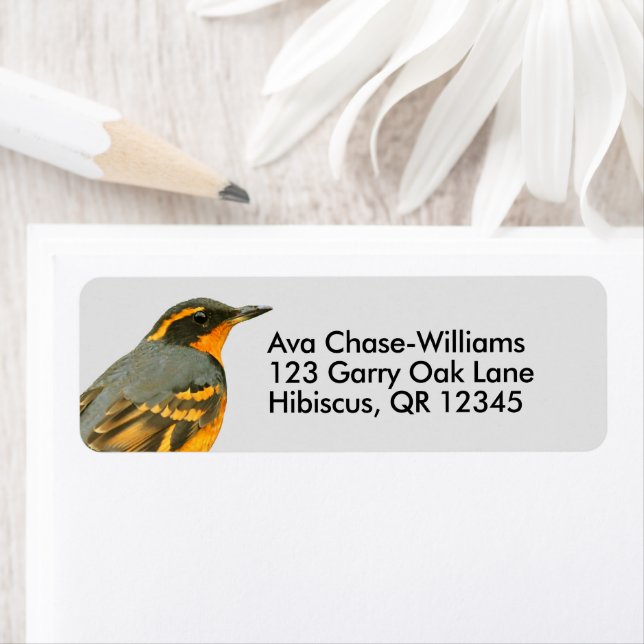 Beautiful Varied Thrush Songbird in the Tree Label (Insitu)