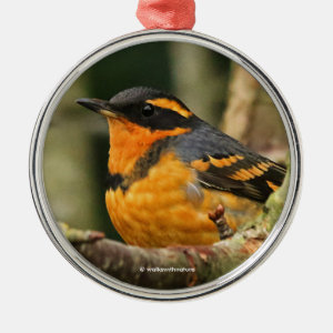 Beautiful Varied Thrush Songbird in the Tree Metal Ornament