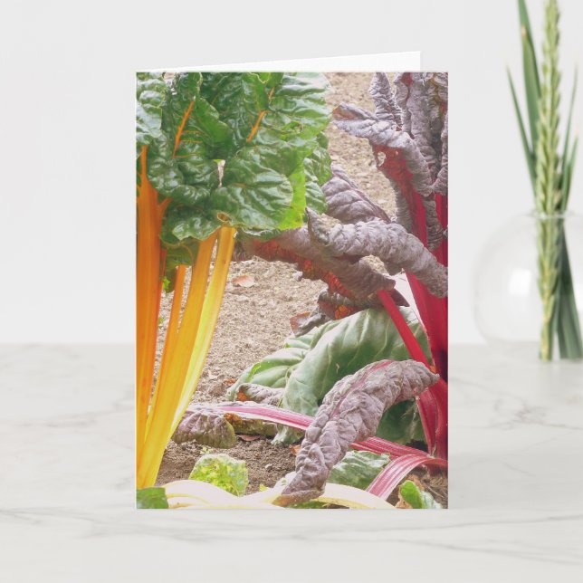 Beautiful Vegetables Greeting Card (Front)