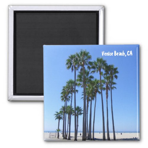 Beautiful Venice Beach Magnet Magnet