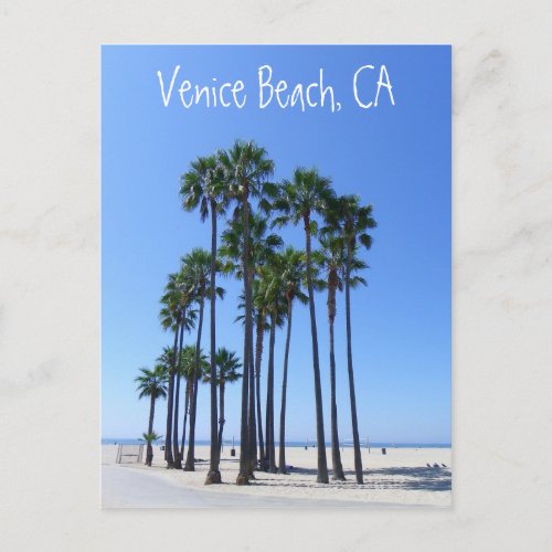 Beautiful Venice Beach Postcard Postcard