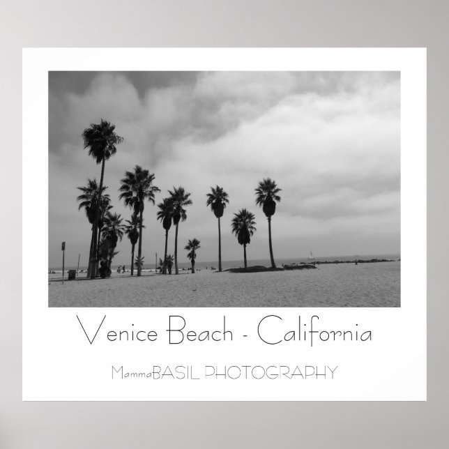 Beautiful Venice Beach Poster! Poster (Front)