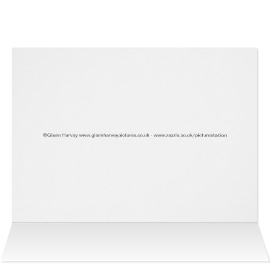 Beautiful Venice, Rialto Bridge (Inside Horizontal (Top))